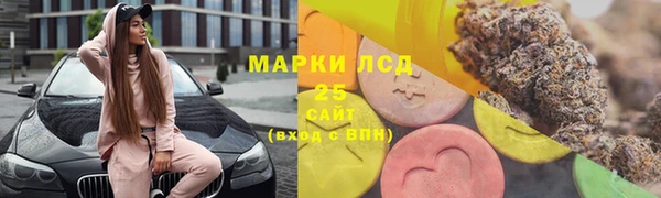 спиды Богородицк