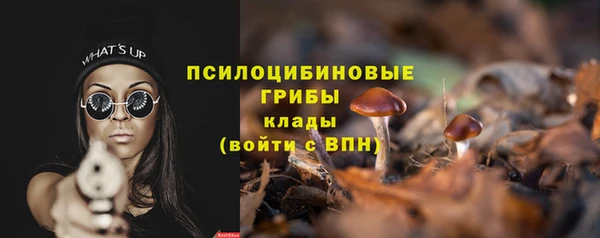 спиды Богородицк