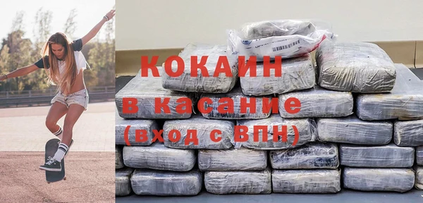 спиды Богородицк