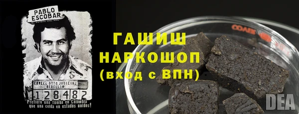 спиды Богородицк