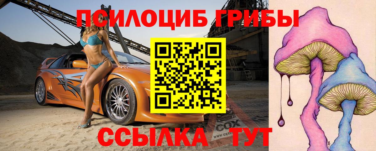 цены наркотик  Галлюциногенные грибы мицелий  Вход с VPN  Городец 